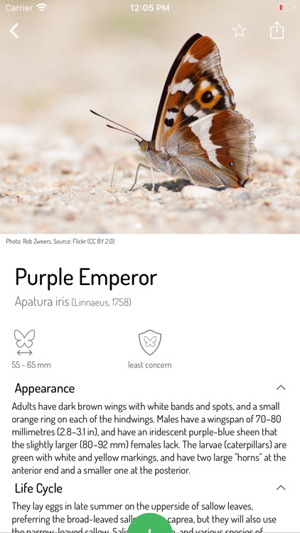 Butterflies of Europe