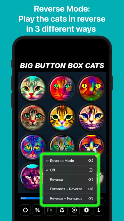 Big Button Box: Cat Sounds screenshot-7