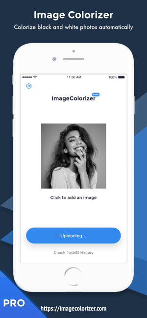 Image Colorizer Pro