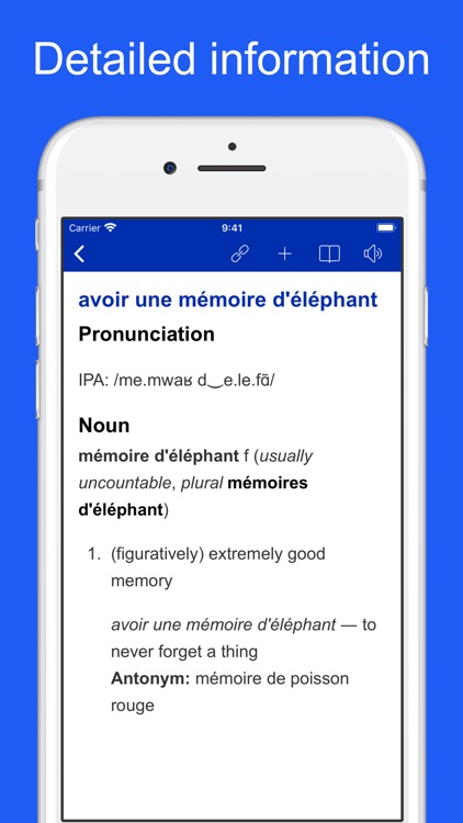 French Idiom Dictionary