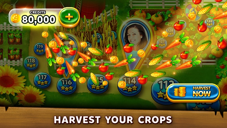 Solitaire Grand Harvest screenshot-3