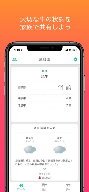 Memow(圖1)-速報App