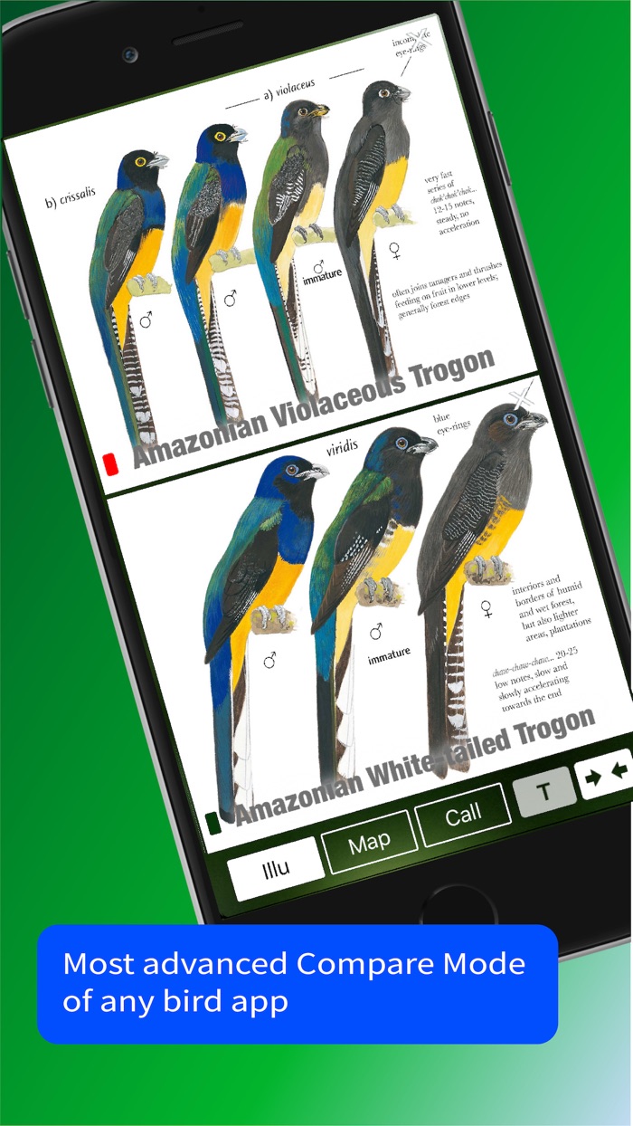 All Birds North. South America