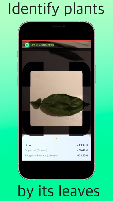 Plant by Leaf Identifier | Apps | 148Apps