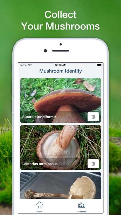 Mushroom Fungus Identifier AI