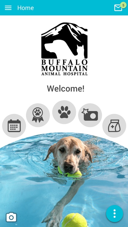 Buffalo Mtn Animal Hospital