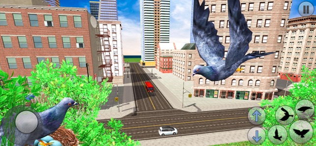 City Bird Pigeon Simulator(圖5)-速報App