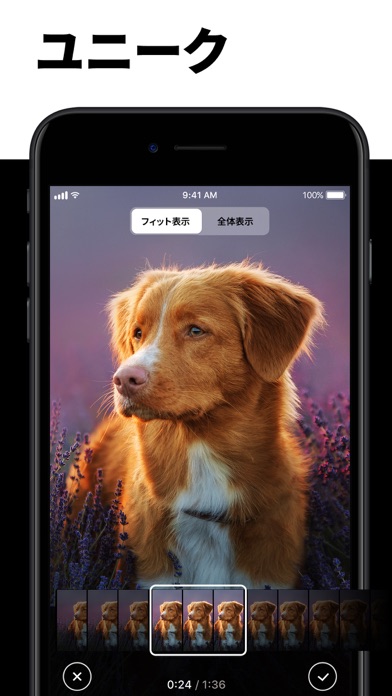 私のライブ壁紙 ダイナミック背景画像と綺麗な壁紙 Iphone Ipadアプリ アプすけ