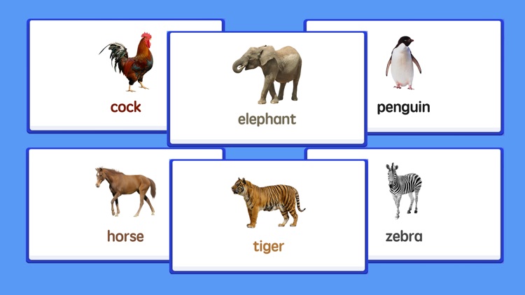 Bean Literacy Cards screenshot-5