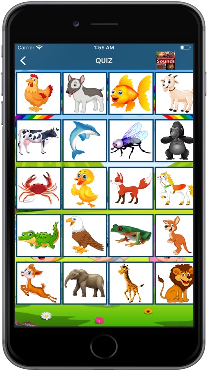 English for Kids Fast Learning screenshot-4