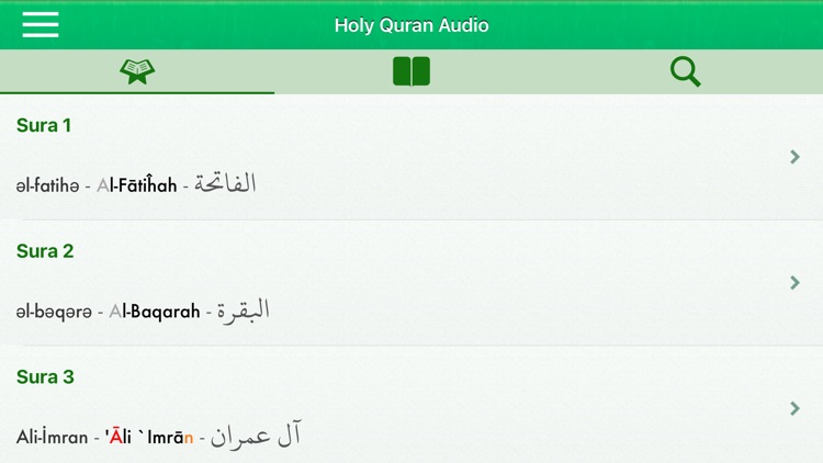 Quran Audio Pro: Azerbaijani screenshot-7