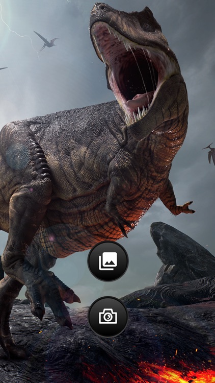 DINO PHOTO HD