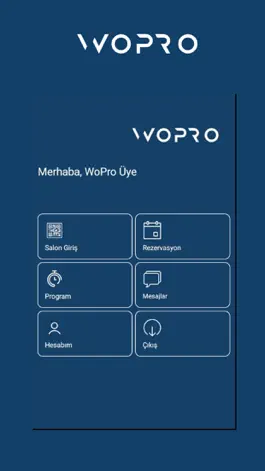 Game screenshot WoPro WoodBox apk