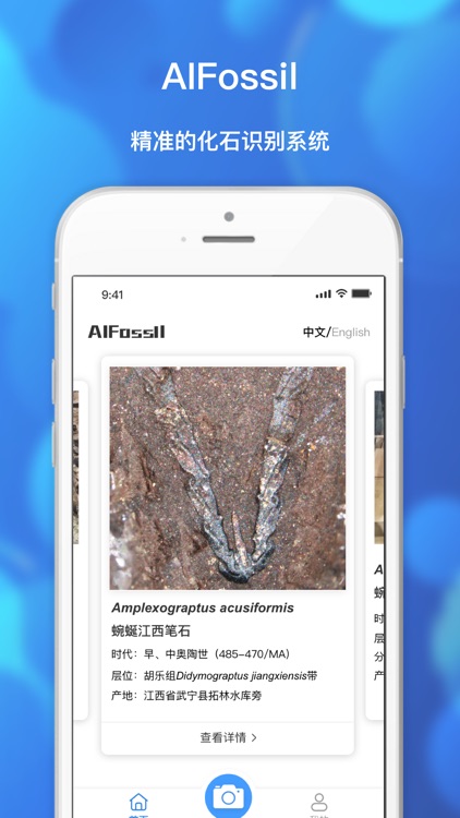 AIFossil