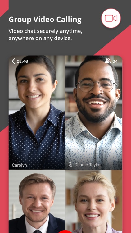NetSfere Secure Messaging screenshot-3