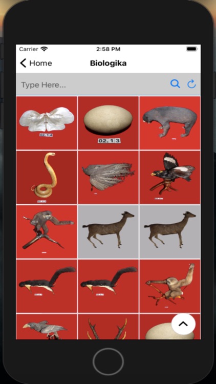 AppMuseumAdityawarman screenshot-5