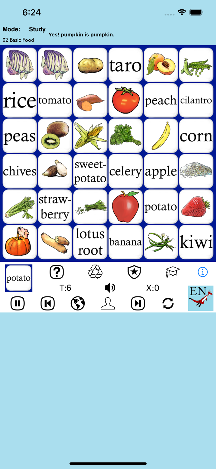 English Words for Beginners-PE