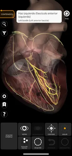 Captura de Pantalla 8 Anatomía - Atlas 3D iphone