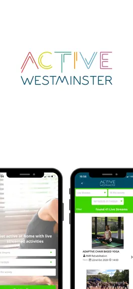 Game screenshot Active Westminster mod apk