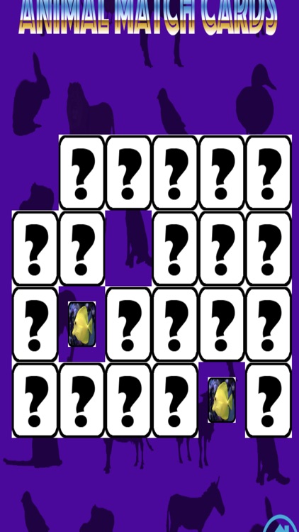 Ninu's Animal Match Card Game screenshot-3