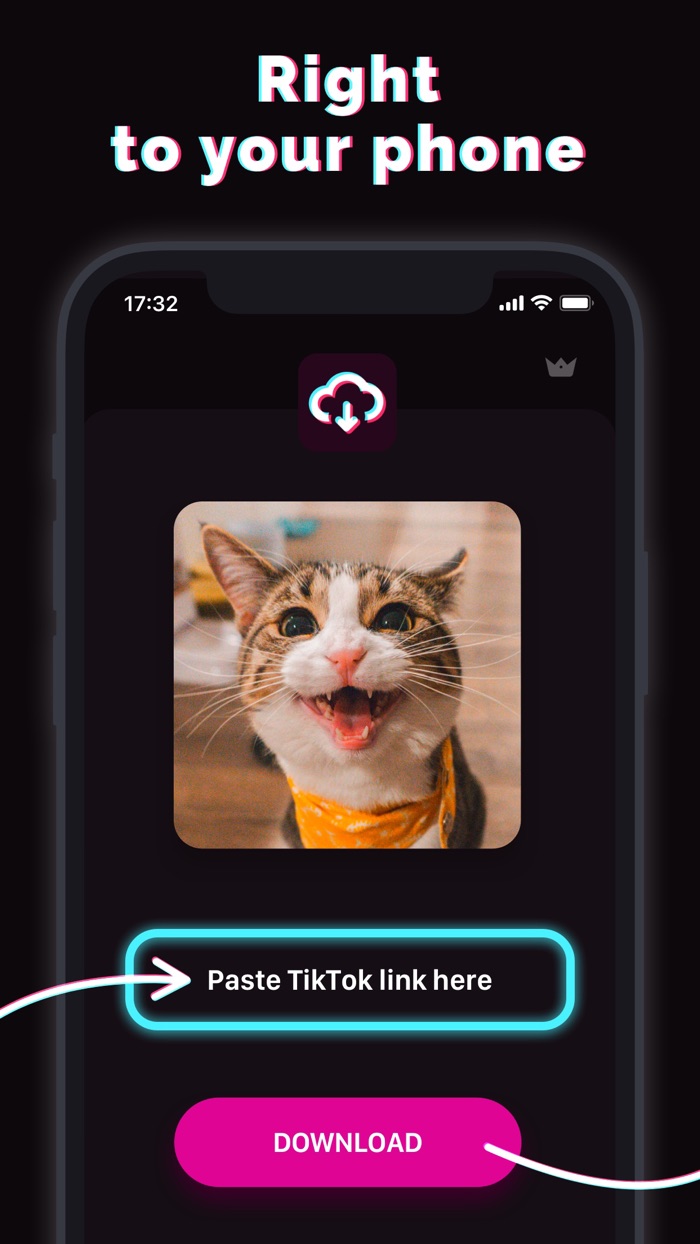 TIK.TOK.SAVER - no watermarks