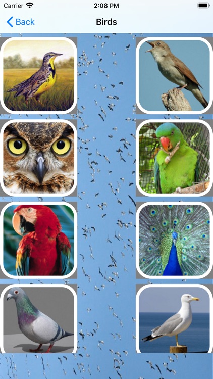 All Animals Sounds screenshot-4
