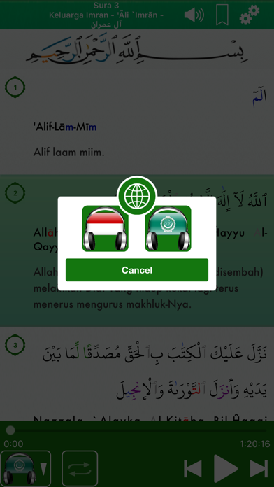 Quran Audio Pro in Indonesian screenshot 4