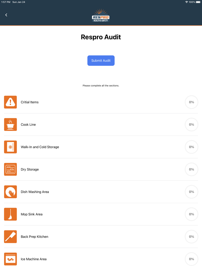 Respro Safety Audits