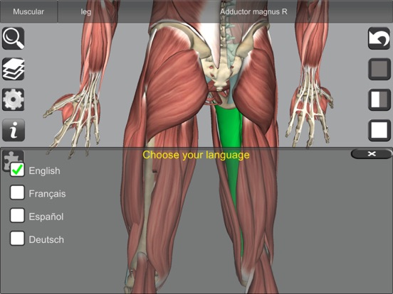 3D Anatomy Learning screenshot