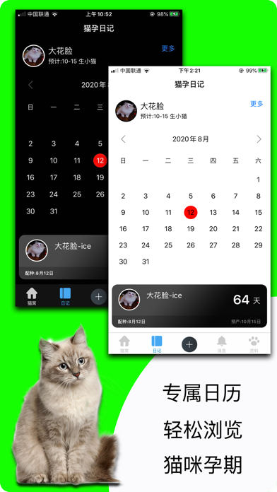 猫孕日记 screenshot 3