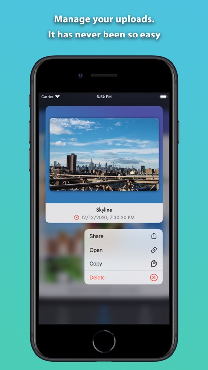 ImgBB Uploader Lite