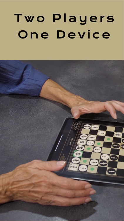 Two Player Chess (2P Chess)