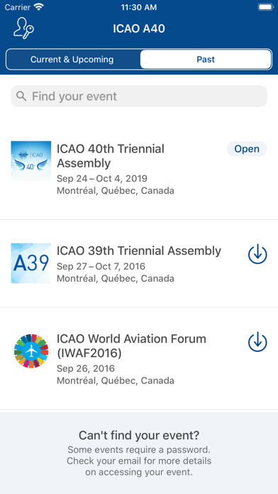 ICAO A40 screenshot 2