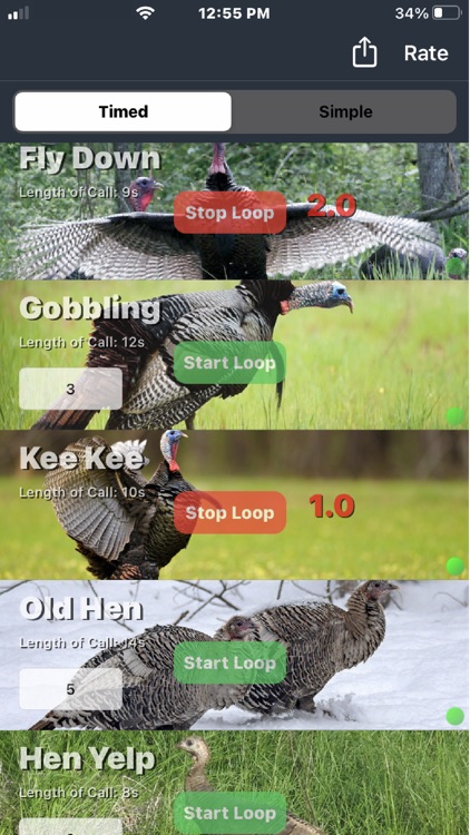 Wild Turkey Calls screenshot-4