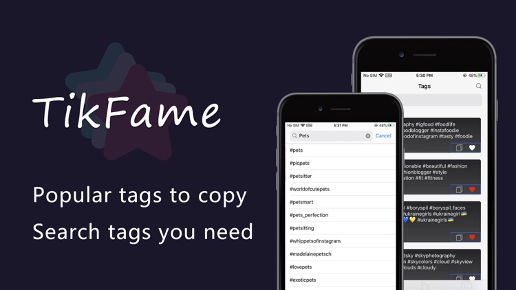 TikFame for social