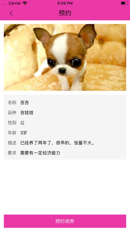 喔爱萌宠 screenshot-3