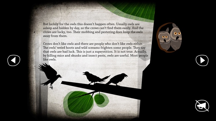 About Owls screenshot-3