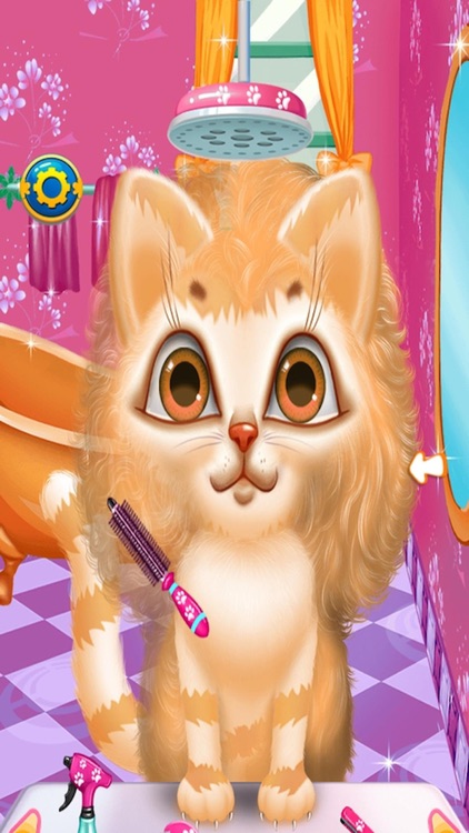 Crazy Cat Hair Salon-Care Game