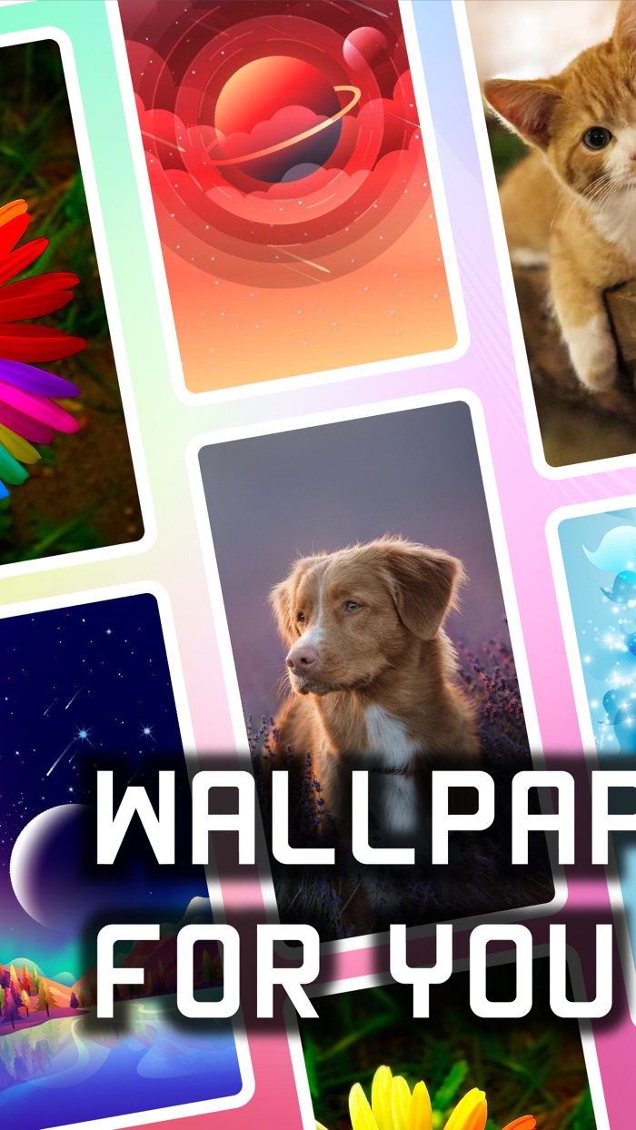 Live Wallpaper 4K Themes