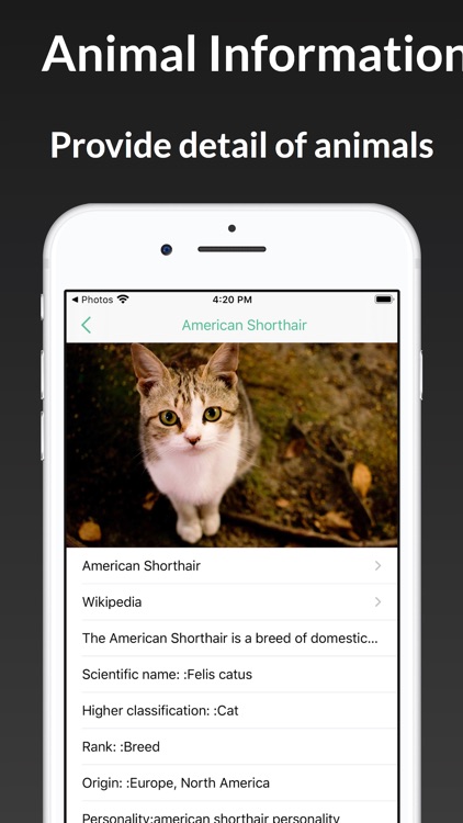ianimal - animal Identifier