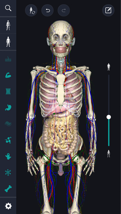 3D anatomy teamLabBody2020 screenshot 4