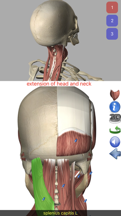 Visual Anatomy Screenshot 10