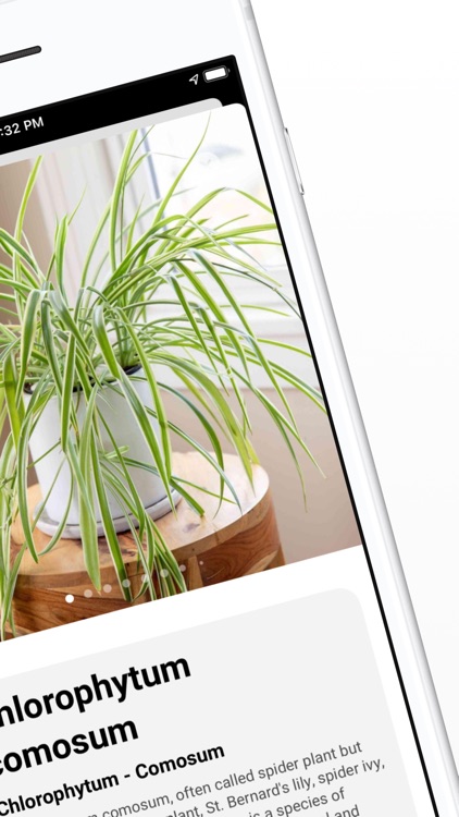 Plant Id Identify Plants By Jg Applications Ltd