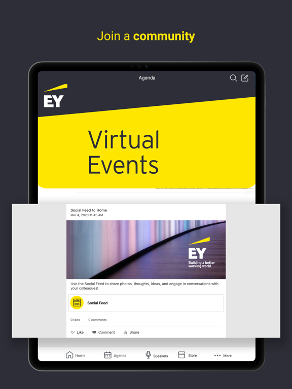 EY Virtual Events screenshot 2