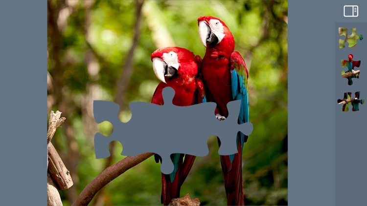 Jigsaw Puzzles Animals screenshot-7