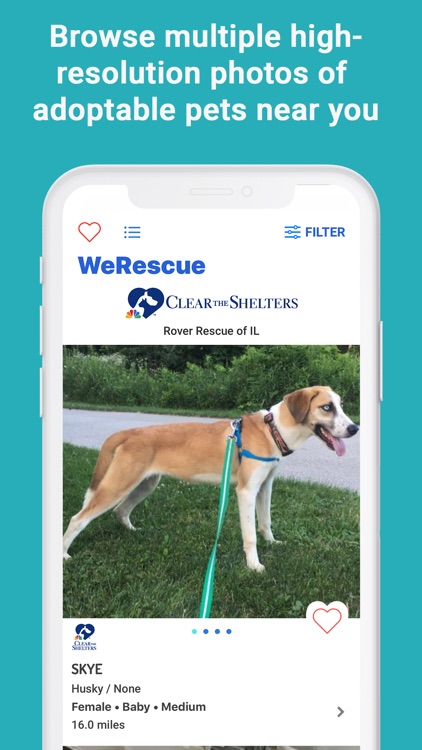 WeRescue – Adopt a Pet