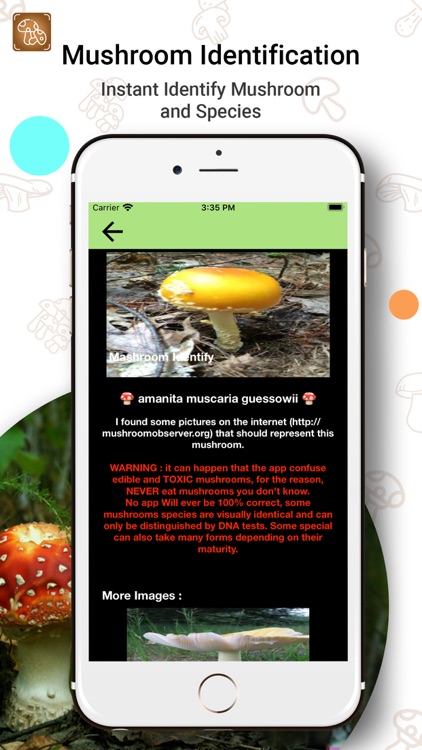 Mushroom Fungus Identifier screenshot-4