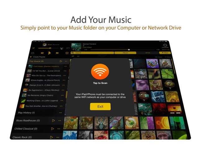 MusicStreamer - Stream Music Files From your Network to iOS