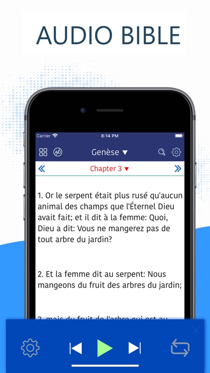 French Bible -La Bible LSV Pro screenshot-1