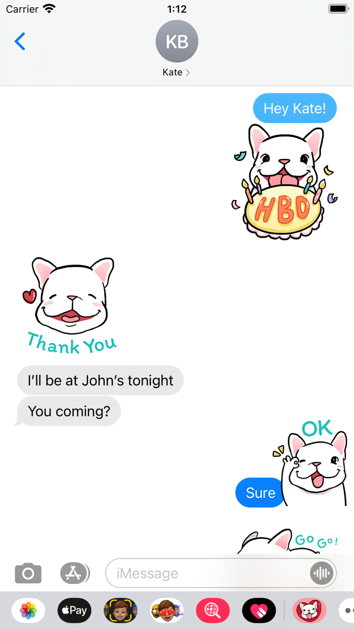 Boo The French Bulldog